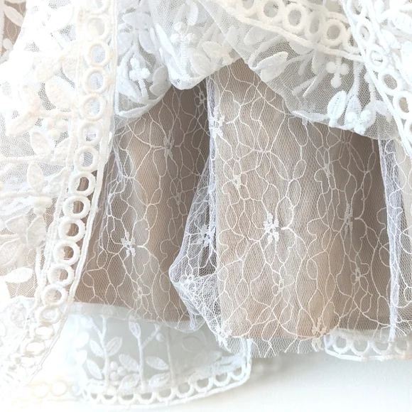 NWT Ivy City Co Sicily Dress Champagne Lining Size Medium - Picture 8 of 15